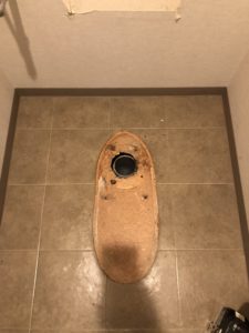 便器と古い床フランジを外したところ
