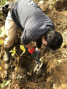 深井戸配管更新