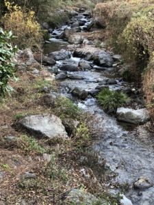 現場前の渓流