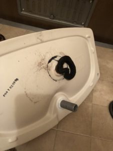 取れかかっている整流スポンジ