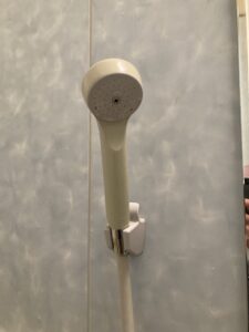 交換前のシャワーヘッド