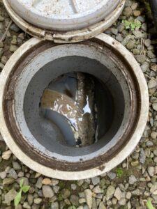 高圧洗浄前の排水マス２