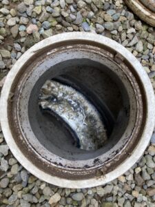高圧洗浄前の排水マス１