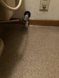 トイレ内分岐部