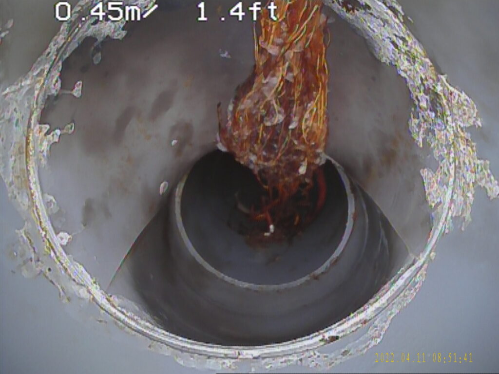 排水管破損部から侵入した木の根