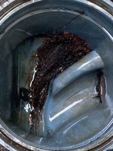 排水桝に侵入した植物の根