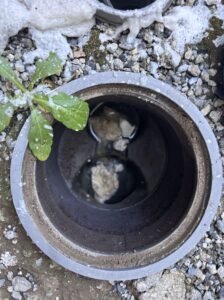 排出された油の塊の一部